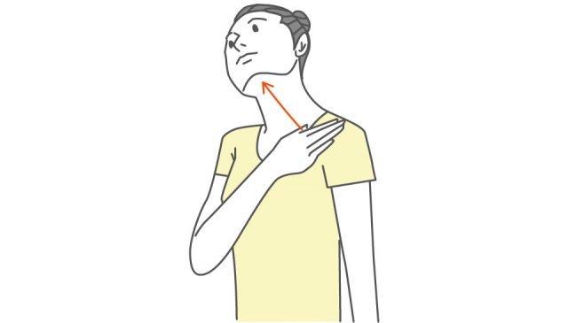 胸鎖乳突筋のストレッチ